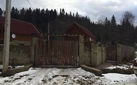 Guest House In Carpathians
